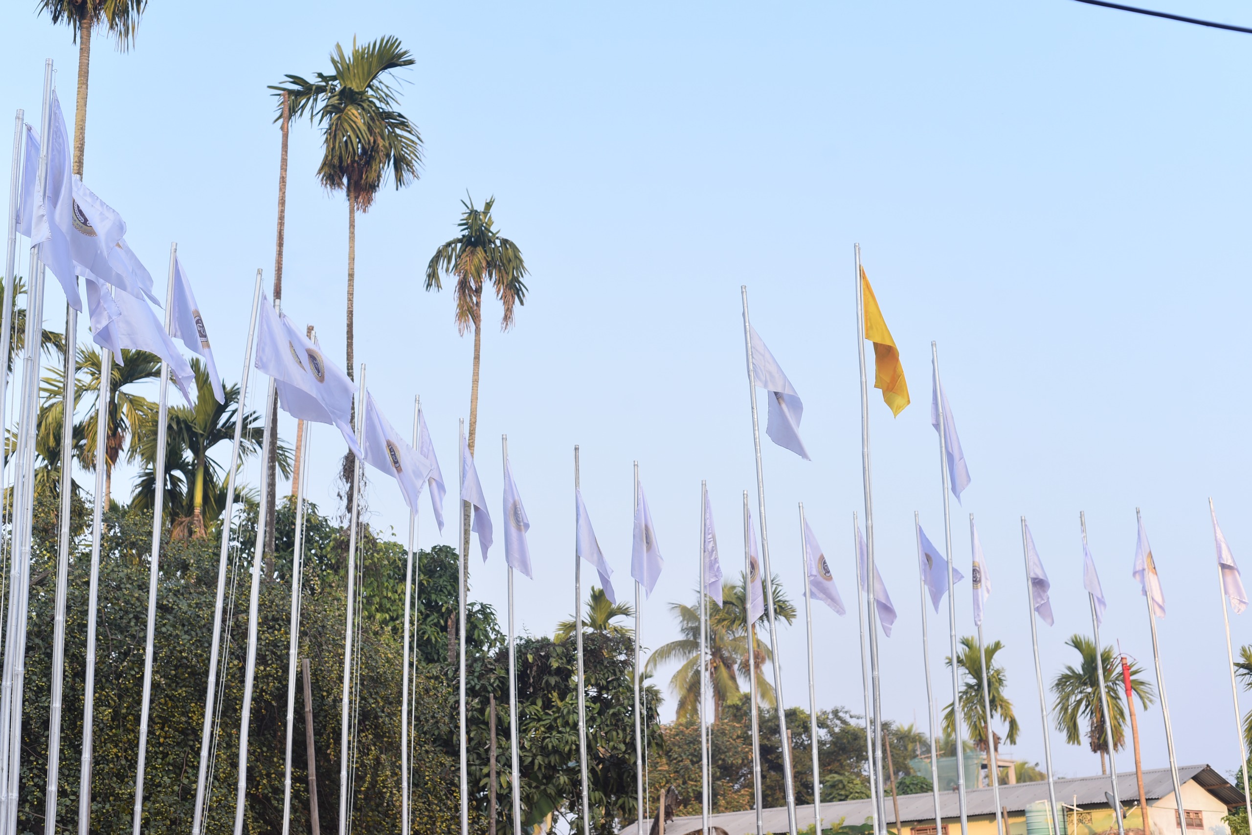College Campus Image